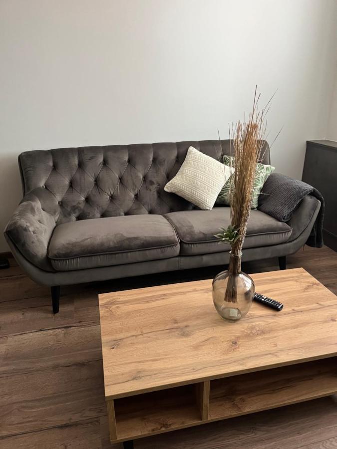 Luxusní nově zrekonstruovaný Apartmán 2kk - 47m2 - Ostrava Centrum Exteriér fotografie